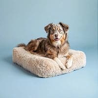 MrFluffyFriend® - Coussin Orthopédique Plat
